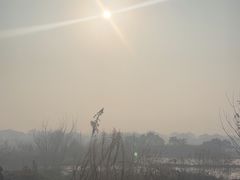 -霖公馆SPA·足道(普善路店)