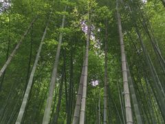 -苏州环秀晓筑养生度假村