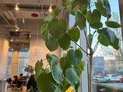 -dotcom coffee古点咖啡(致真大厦店)