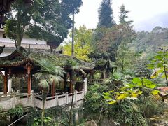 -青城山