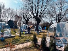 -Supine Bistro溯泮餐厅