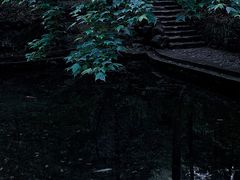 -云栖竹径
