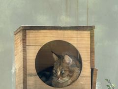 -青藏高原野生动物园