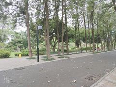 -南宁南湖公园