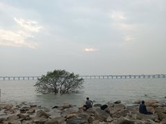 -宝安西湾红树林湿地公园