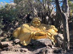 -紫金山山顶公园