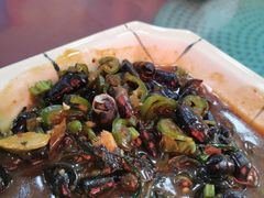 -雄仔农家菜馆·特色葱油鸡(六祖店)