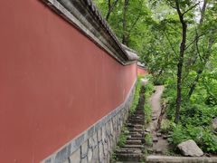 -阳台山自然风景区