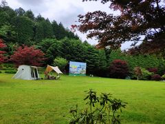 -四明山国家森林公园