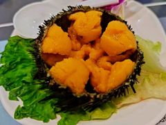 海胆刺身-富山日式料理(宽厚里店)