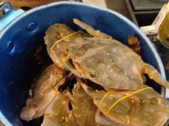 -澜悦港海鲜体验主题餐厅