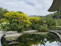 -云溪植物园
