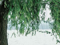 -东钱湖旅游度假区