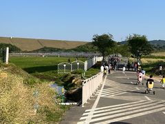 -光明小镇欢乐田园