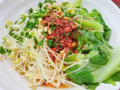 -老陈婆手工面庄