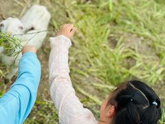 -小鱼草莓采摘园农家乐·小鱼餐厅