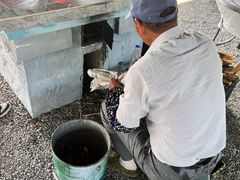 -明珠湖天鹅苑·农家菜馆