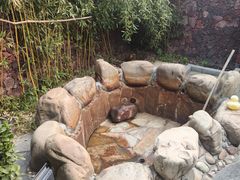 -北京益泉花园酒店