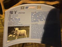 -东莞香市动物园