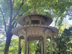 -玲珑塔公园