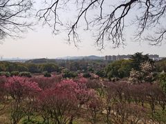 -无锡梅园公园