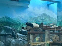 -武汉动物园