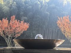 -苏州环秀晓筑养生度假村