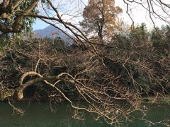 -绩溪龙川景区