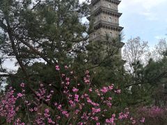 -天台山赤城山景区