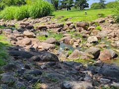 -白塘生态植物园