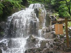 -本溪汤沟绿石谷森林公园