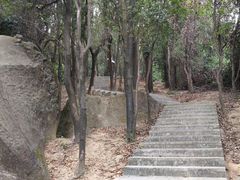 -火炉山森林公园