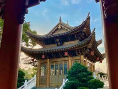 -上海东林寺(金山区)