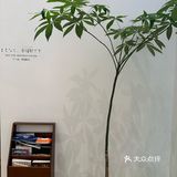 慢享生活每一刻