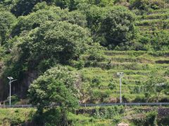 -楠溪江风景名胜区