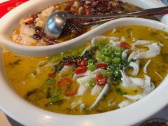 -禄鼎记·多口味酸菜鱼(侨鑫店)