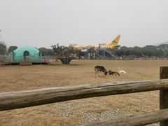 -苏州太湖西山岛开心农场