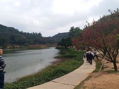 -南国桃园旅游度假区