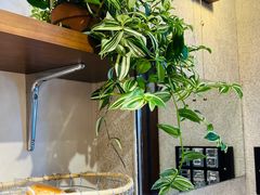 -稻田秋(怡美广场店)