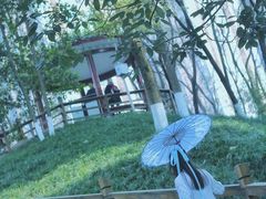 -温江公园