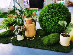 -协和实验幼儿园