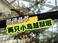 -LuOne凯德晶萃广场(徐家汇路店)