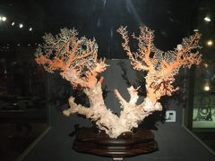 -台北故宫博物院