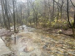 -玉渡山自然风景区