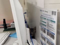 -佳雯宠物医院·皮肤科·内外科(春晓路分院)