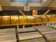 -树懒黑胶唱片店(中山路店)