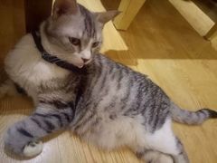 -万小咖.猫咖(中山路天虹店)