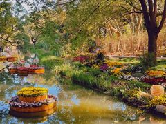 -上海共青森林公园