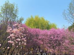 -北京奥林匹克公园