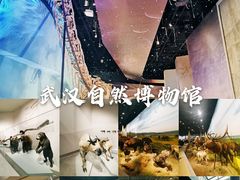 -长江文明馆